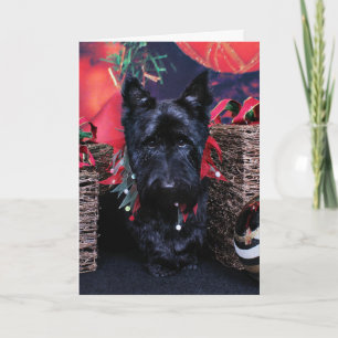 Weihnachten - Schottland - Paisley