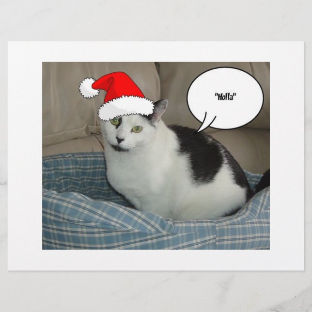 Weihnachten Schwarz und Weiß Kitten Flyer (Vorne)