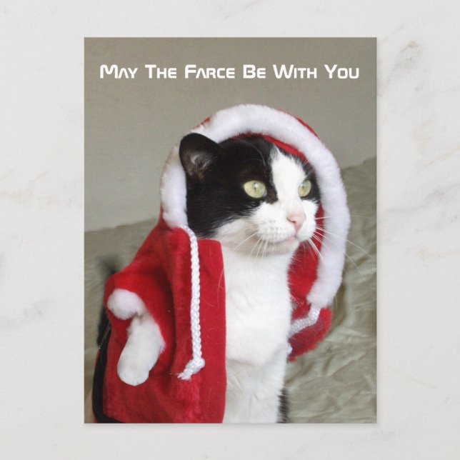 Weihnachten Sci-Fi Parody Cat Funny Post Card Funn (Vorderseite)