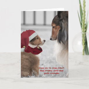 Weihnachten Shelties