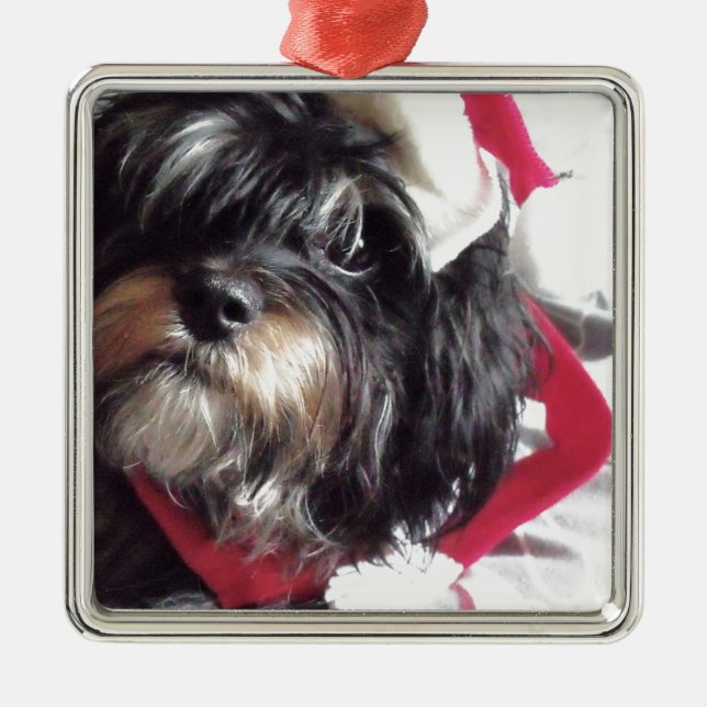 Weihnachten Shih Poo Ornament Aus Metall (Vorne)