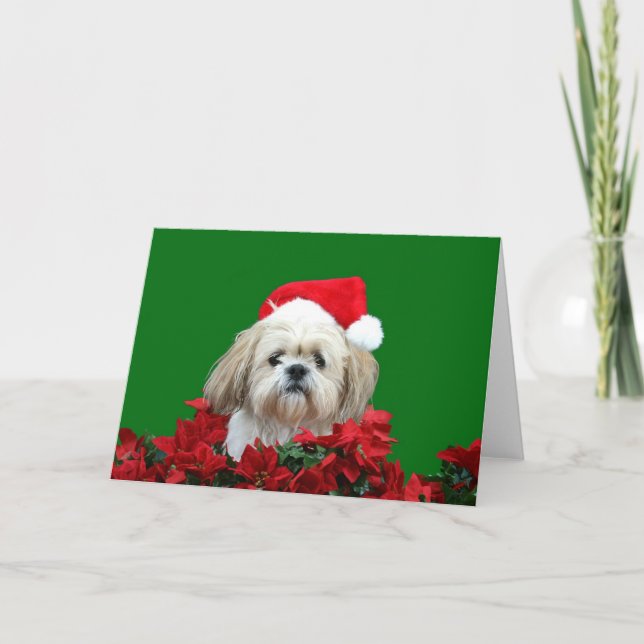 Weihnachten Shih Tzu (Vorderseite)