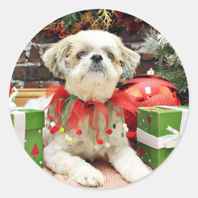 Weihnachten - Shih Tzu - Bailey Runder Aufkleber (Vorderseite)