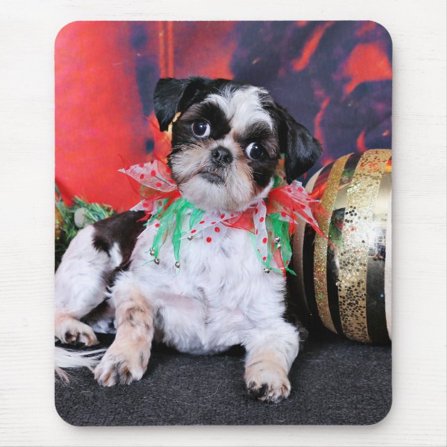 Weihnachten - Shih Tzu - Chin Ching Mousepad (Vorne)