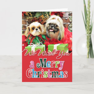 Weihnachten - Shih Tzu - Earl and Opal