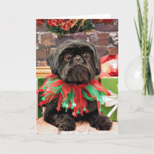 Weihnachten - Shih Tzu - Lily