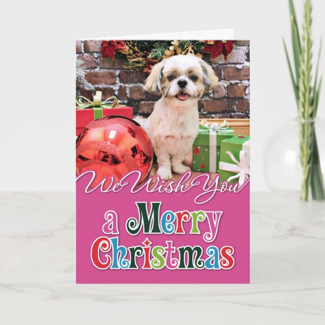 Weihnachten - Shih Tzu - Marley (Vorderseite)