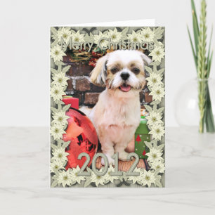 Weihnachten - Shih Tzu - Marley
