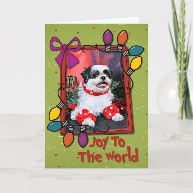 Weihnachten - Shih Tzu - Mishka (Vorderseite)