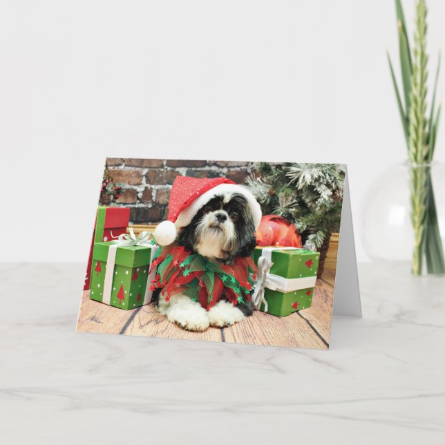 Weihnachten - Shih Tzu - Riley (Vorderseite)