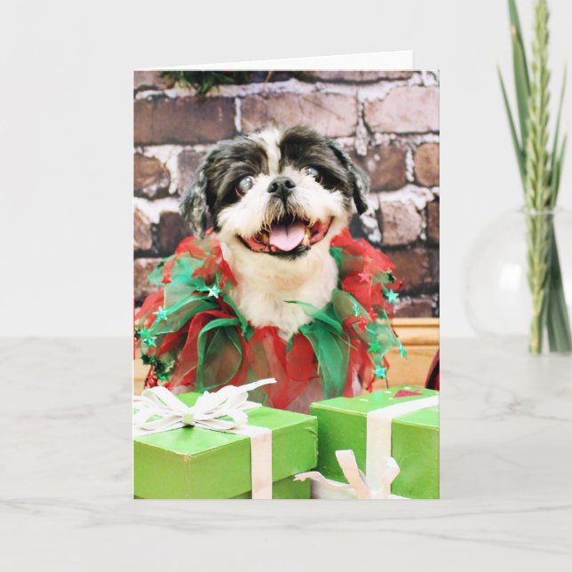 Weihnachten - Shih Tzu X - Sonne (Vorderseite)