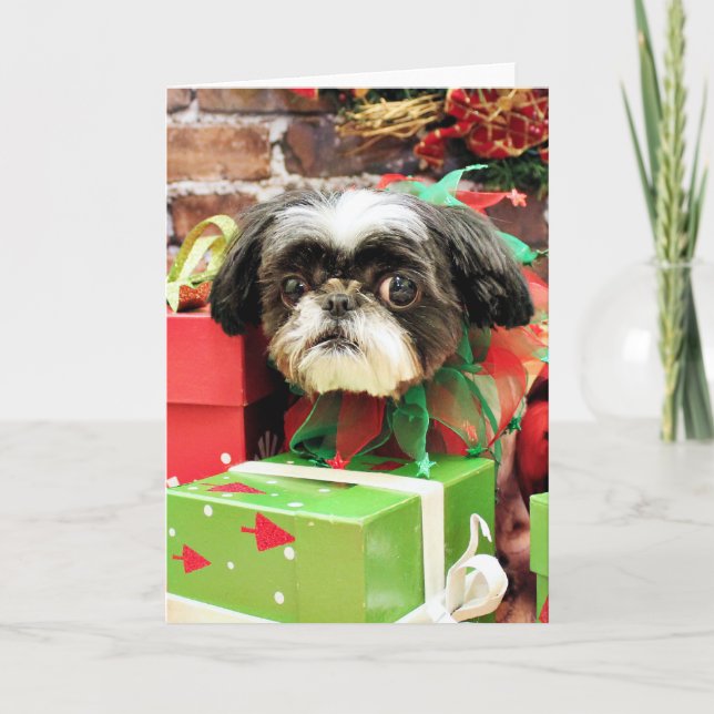Weihnachten - Shih Tzu - Yogi (Vorderseite)