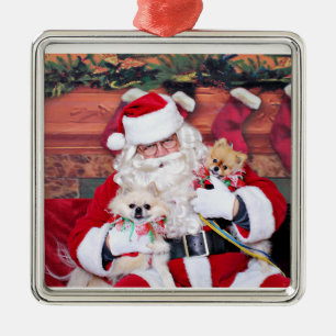 Weihnachten - Spitz - Toby u. Andy Silbernes Ornament