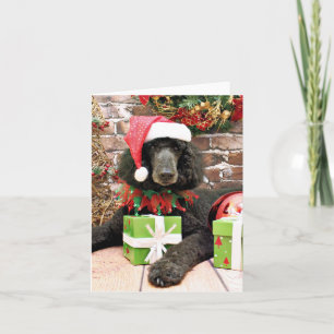 Weihnachten - Standard Poodle - Bronco