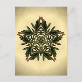 Weihnachten Star Postkarte