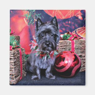 Weihnachten - Steinhaufen Terrier - Juwel Magnet