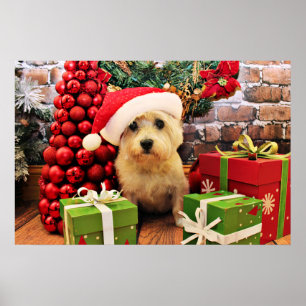 Weihnachten - Steinhaufen Terrier - Roxy Poster