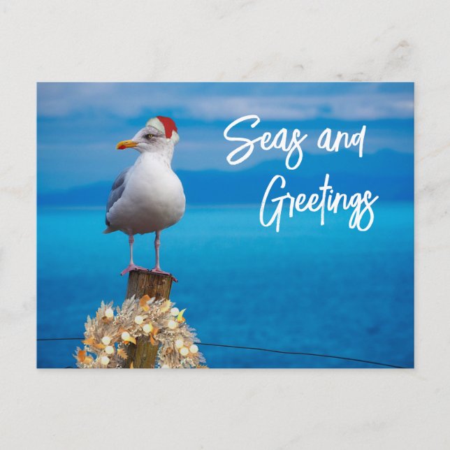 Weihnachten Strand Meer und Grüße Seagull Ozean Postkarte (Vorderseite)