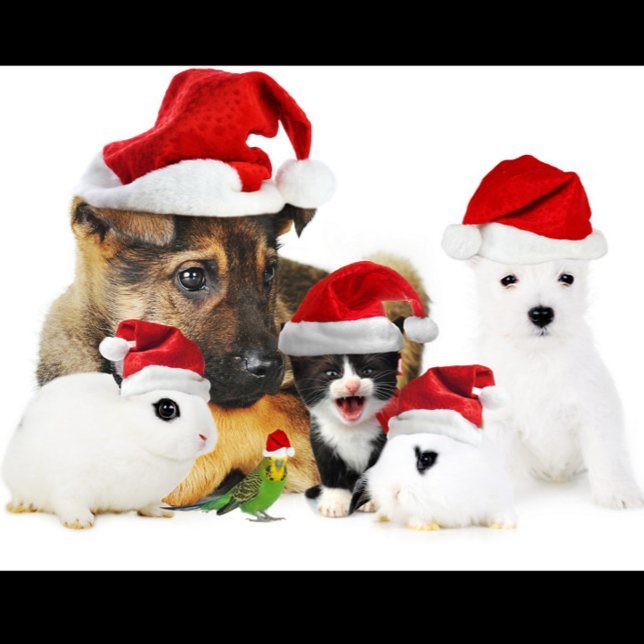 Weihnachten T-Shirt (A group of pets wearing Santa hats!)
