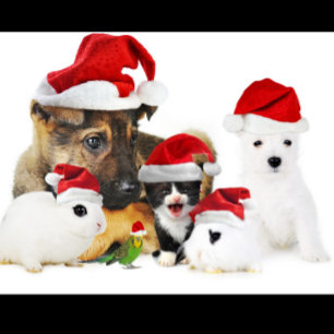 Weihnachten T-Shirt