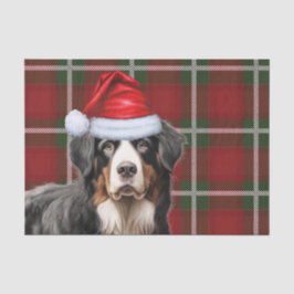 Weihnachten Tartan Kariert und Berner Hund Seidenpapier