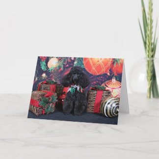 Weihnachten - Toby - Poodle