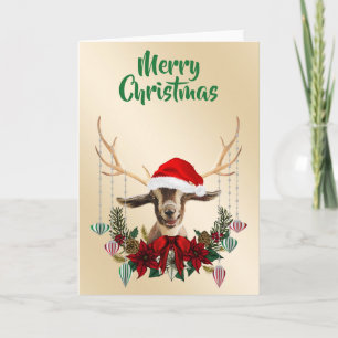 Weihnachten Toggenburg Ziege Kind Karte