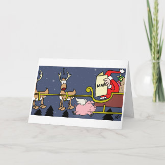 Weihnachten - Überraschungen