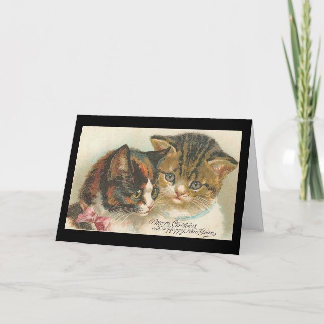 Weihnachten und Neujahr Katzen (Vorderseite)