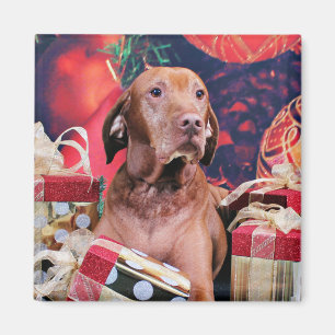 Weihnachten - Vizsla - Budda Magnet