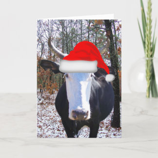Weihnachten von Funny Heifer Cow Card