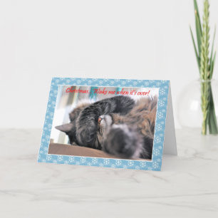 Weihnachten weckte mir, wenn es vorbei ist! Cat Ch