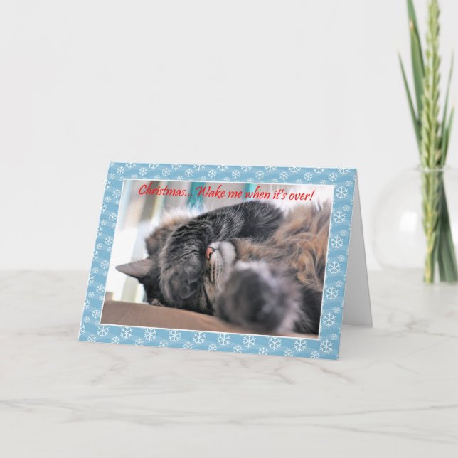 Weihnachten weckte mir, wenn es vorbei ist! Cat Ch (Vorderseite)