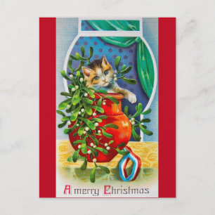 Weihnachten, Weihnachten Kitten Postkarte