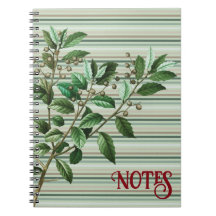 Weihnachten - Weihnachten