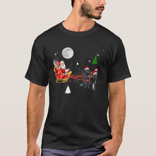 Weihnachten Weihnachten Weihnachtsfeier Black Lab  T-Shirt (Vorderseite)