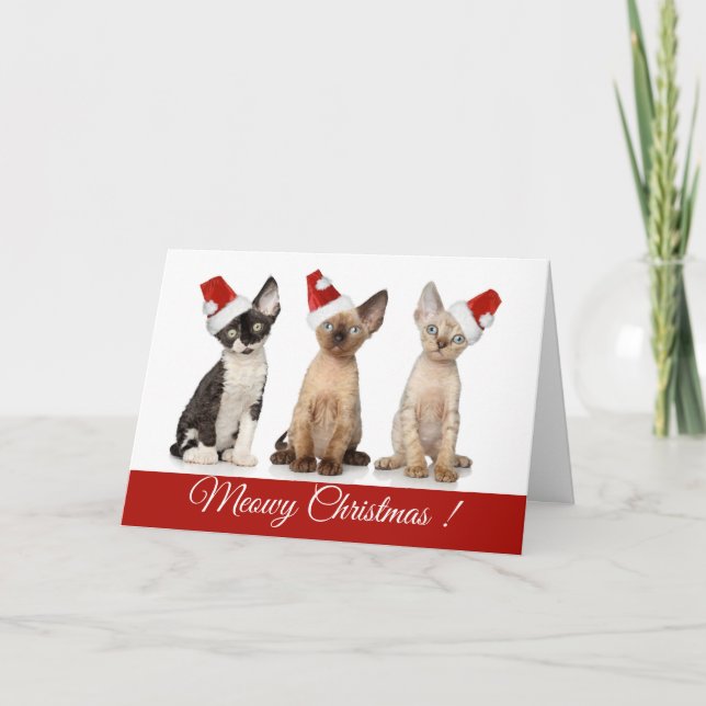 Weihnachten| Weihnachtskätzchen Feiertagskarte (Vorderseite)