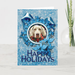 Weihnachten - Weimaraner - Lucy