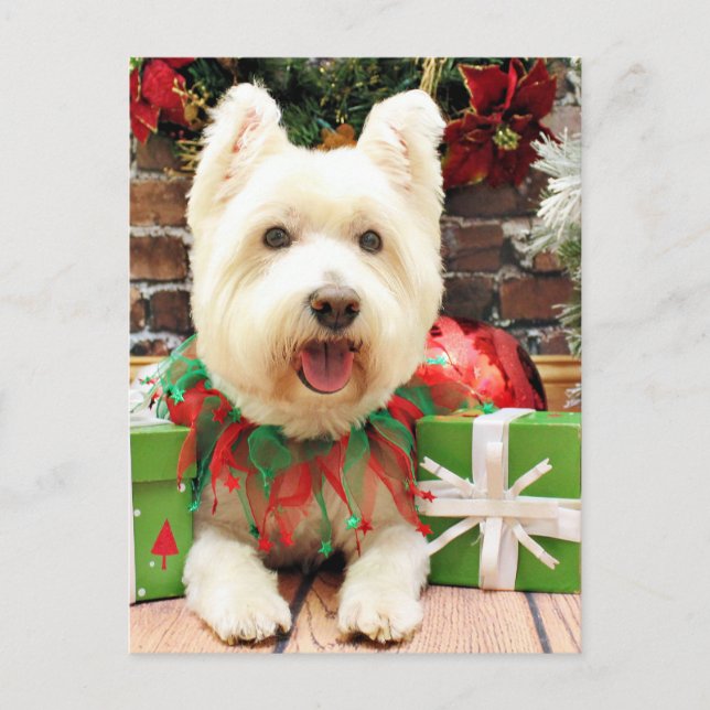 Weihnachten - Westie - Glück (Vorderseite)