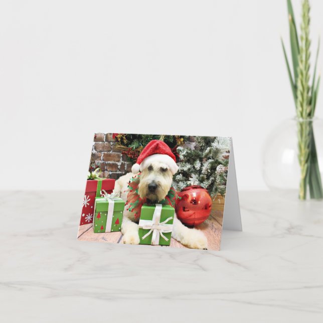 Weihnachten - Wheaten Terrier - Bailey (Vorderseite)