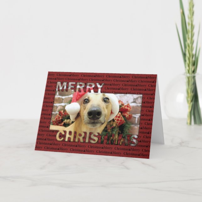 Weihnachten - Windhund - Pena (Vorderseite)