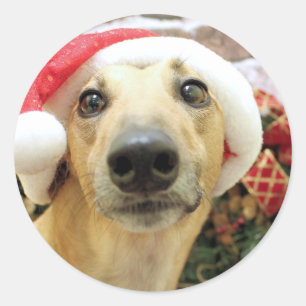 Weihnachten - Windhund - Pena Runder Aufkleber