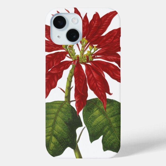 Weihnachten, Winter-Pflanze Red Poinsettia Case-Mate iPhone Hülle (Rückseite)