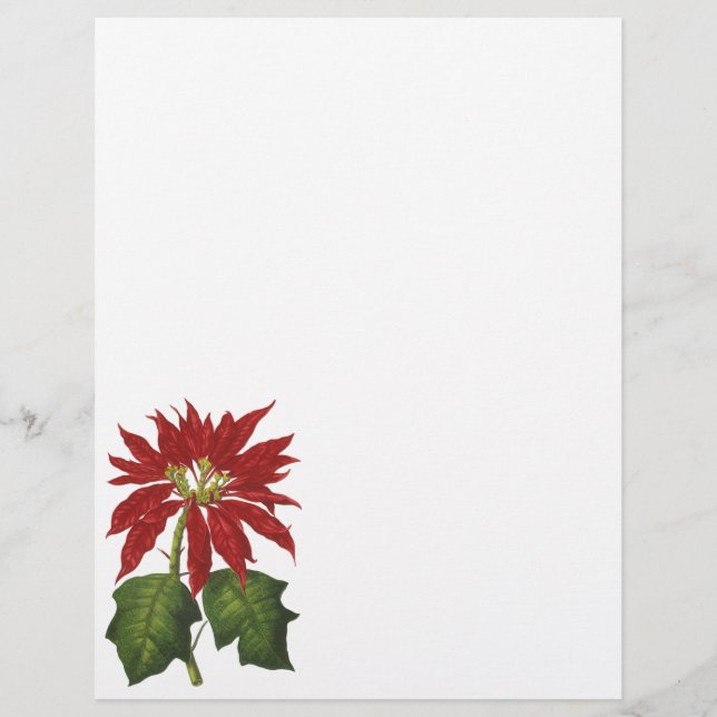 Weihnachten, Winter-Pflanze Red Poinsettia Flyer (Vorne)