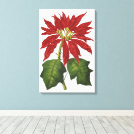 Weihnachten, Winter-Pflanze Red Poinsettia Leinwanddruck