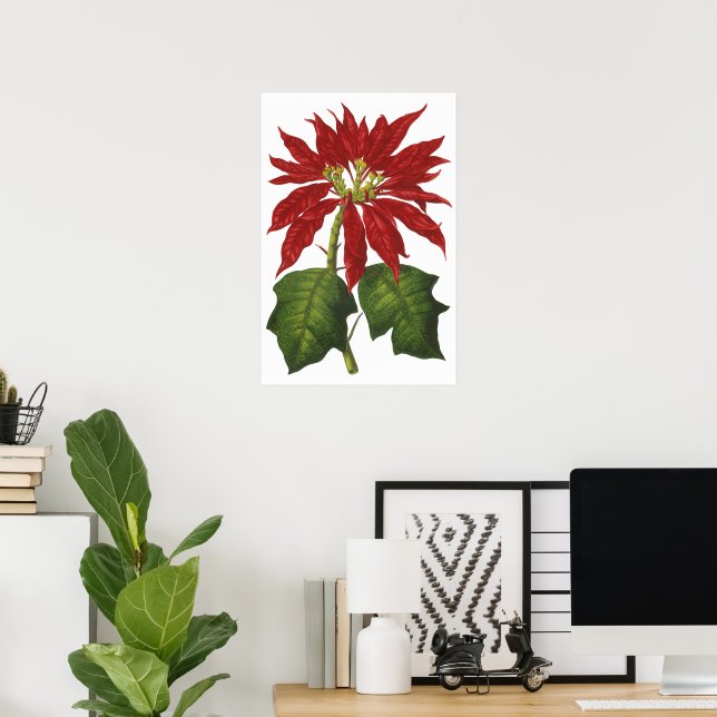Weihnachten, Winter-Pflanze Red Poinsettia Poster (Heimbüro)