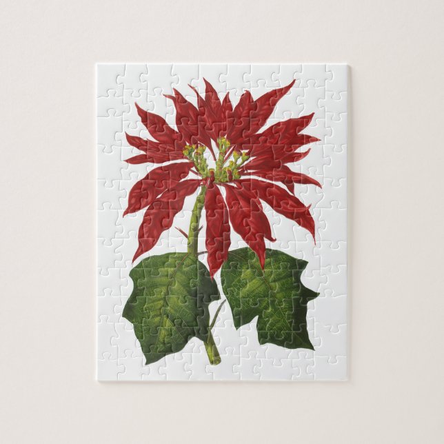 Weihnachten, Winter-Pflanze Red Poinsettia Puzzle (Vertikal)