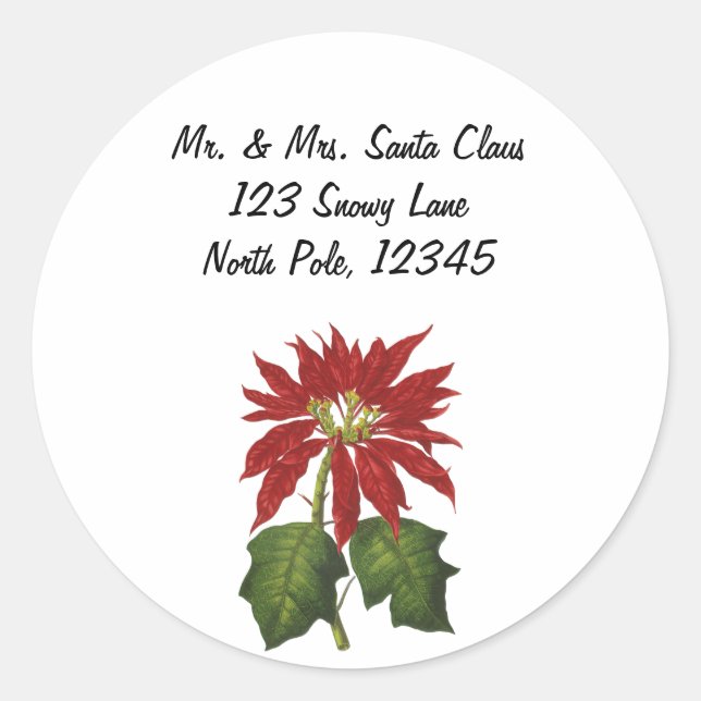 Weihnachten, Winter-Pflanze Red Poinsettia Runder Aufkleber (Vorderseite)
