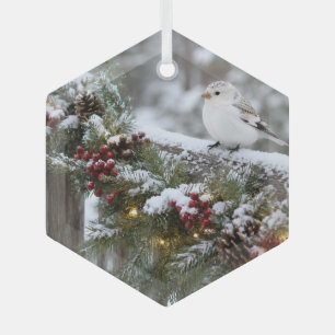 Weihnachten Winter Schneefink Ornament Aus Glas