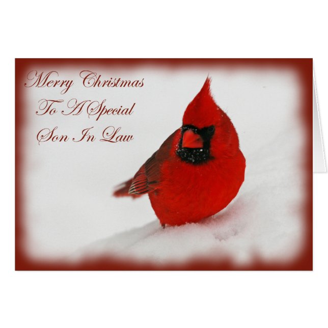 Weihnachten wünscht Kardinal Son in Law (Vorderseite (Horizontal))